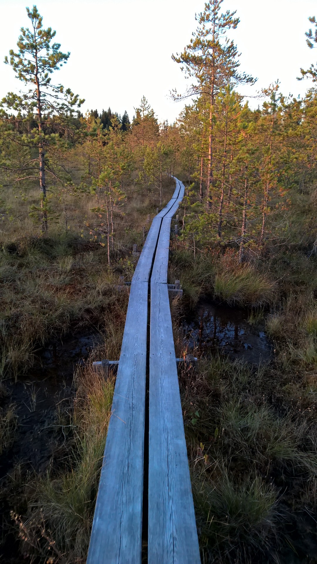 wp_20160920_18_52_47_pro