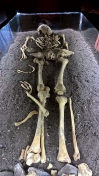 wp_20150905_18_18_19_pro