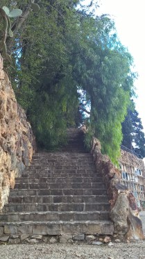 wp_20161112_13_04_57_pro