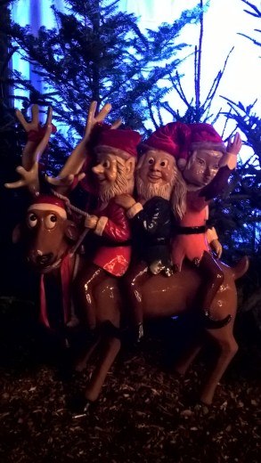 wp_20151210_19_10_47_pro