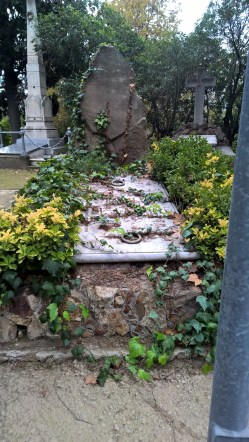 wp_20161112_11_58_42_pro