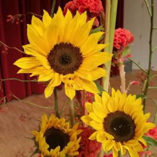 IMG_20170915_181058_323